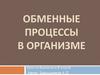 Обменные процессы в организме человека
