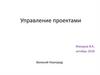 Управление  проектом. Уровни