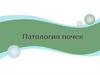 Патология почек