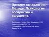 Предмет психологии. Методы. Психология  восприятия и ощущения