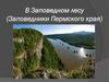 В Заповедном лесу (Заповедники Пермского края)