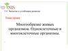 Многообразие живых организмов. Одноклеточные и многоклеточные организмы