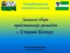 Старобілоуська територіальна громада