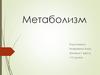 Метаболизм