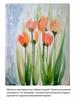 Тюльпаны по сырому