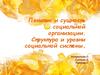 Понятие и сущность социальной организации. Структура и уровни социальной системы