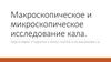 Макроскопическое и микроскопическое исследование кала