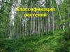 53 Классификация растений