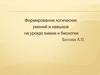 Формирование логических умений и навыков на уроках химии и биологии