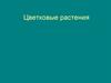 Цветковые растения