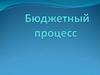 Бюджетный процесс