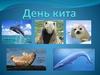День кита