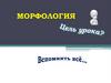 Морфология. Орфография