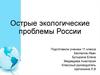 Острые экологические проблемы России