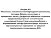 Механизмы окислительного повреждения аминокислот, пептидов, белков, нуклеотидов и нуклеиновых кислот. Лекция 5