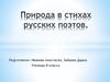 Природа в стихах русских поэтов. 8 класс