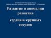 Развитие и аномалии развития сердца и крупных сосудов
