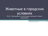Животные в городских условиях