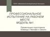 Профессиональное испытание на рабочем месте