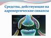 Средства, действующие на адренергические синапсы