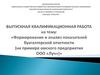 Формирование и анализ показателей бухгалтерской отчетности (на примере омского предприятия ООО "Луч")