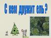 С кем дружит ель