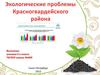 Экологические проблемы Красногвардейского района, Санкт-Петербург. 9 класс