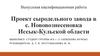 Проект сыродельного завода в с. Нововознесеновка Иссык-Кульской области