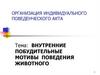 Организация индивидуального поведенческого акта