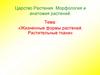 Жизненные формы растений. Растительные ткани