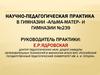 Научно-педагогическая практика в гимназии «Альма-матер» и гимназии №239. Основные трудности в педагогической деятельности