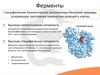 Ферменты. Классификация и строение ферментов. Активность ферментов