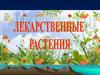 Лекарственные растения