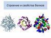 Строение и свойства белков