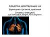 Средства, действующие на функцию органов дыхания