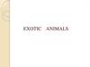 Exotic animals