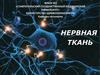 Нервная ткань