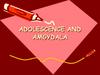 Adolescence and amgydala