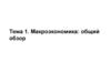 Макроэкономика (общий обзор). Тема 1