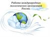 Работа международных экологических организаций России