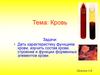Кровь. функции крови, состав крови, строение и функции форменных элементов крови