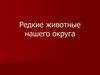 Редкие животные нашего округа