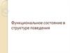 Функциональное состояние в структуре поведения