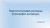 Кератотопография роговицы (топография роговицы)