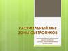 Растительный мир зоны субтропиков