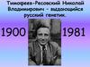 Тимофеев-Ресовский Николай Владимирович – выдающийся русский генетик. 1900 -1981