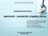 Микроскоп – знакомство, создание, опыты