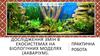 Дослідження змін в екосистемах на біологічних моделях