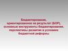 Бюджетирование, ориентированное на результат (БОР), основные инструменты бюджетирования
