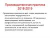 Производственная практика 2018-2019